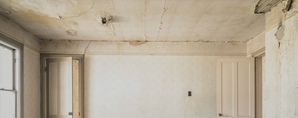 Mold Removal & Mold Remediation Services in Fort Worth, TX