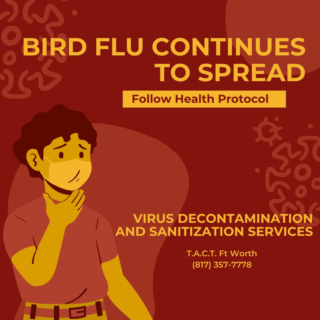 Understanding the Spread of Bird Flu